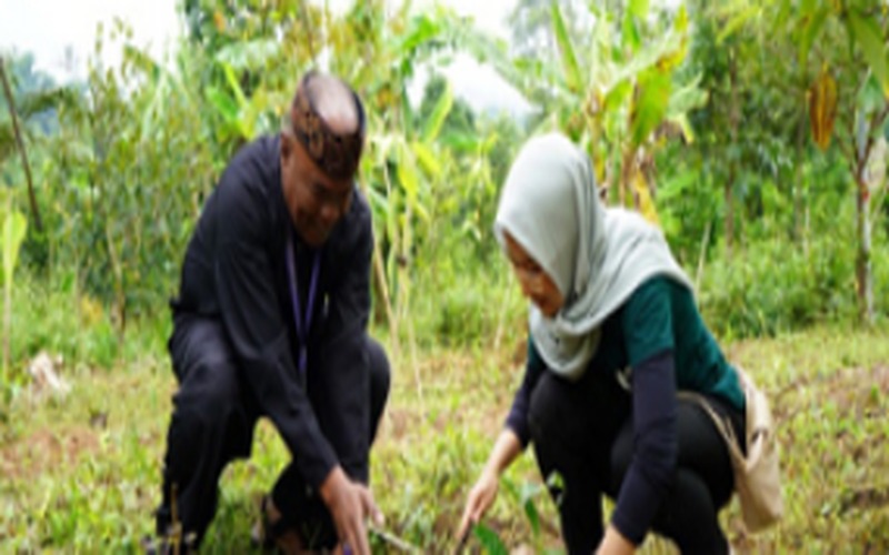 Hijaukan Bumi, SEI Ajak Stakeholder dan Media Tanam Ribuan Pohon